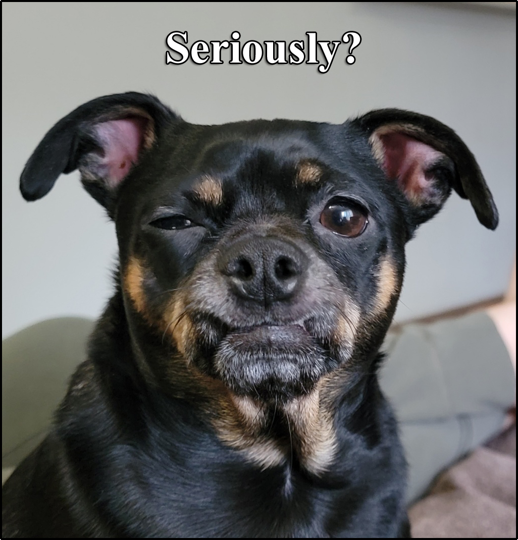 Will McEllen tweet media