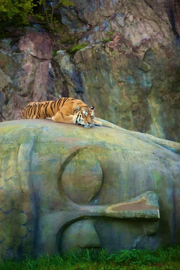 DrAnita65600132's tweet photo. जीवन किसी से बँधा नहीं होता बल्कि बँधी होती है उम्मीदें, भावनाएँ, आशाएँ और भरोसा।

#नमोबुद्धाय_जयभीम💙🙏
#GOODMORNINGXFAMILY https://t.co/epRI5u3kfA