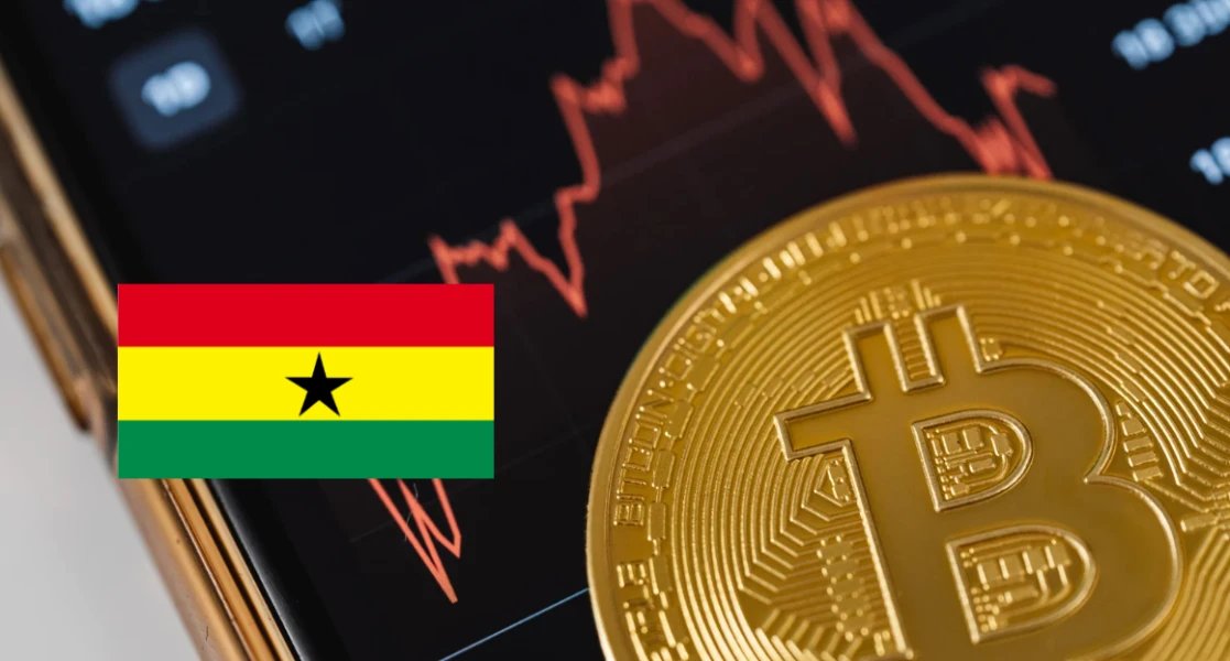 Santolita tweet media