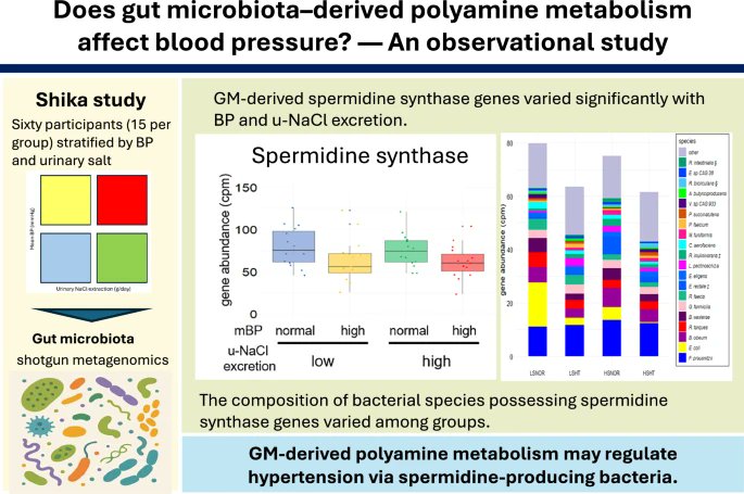 Hypertension Research tweet media