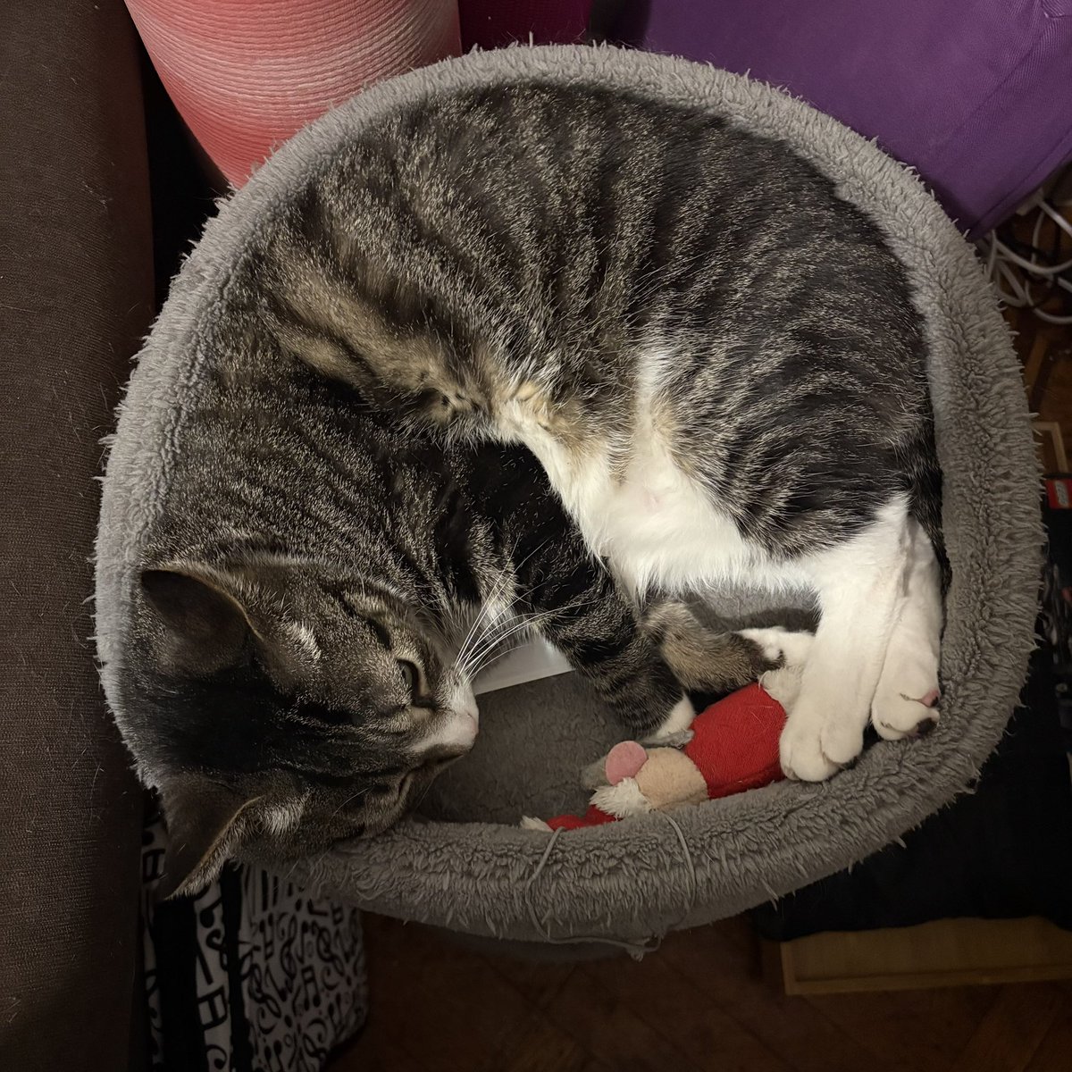 Sharon Collins, PAEMST tweet media