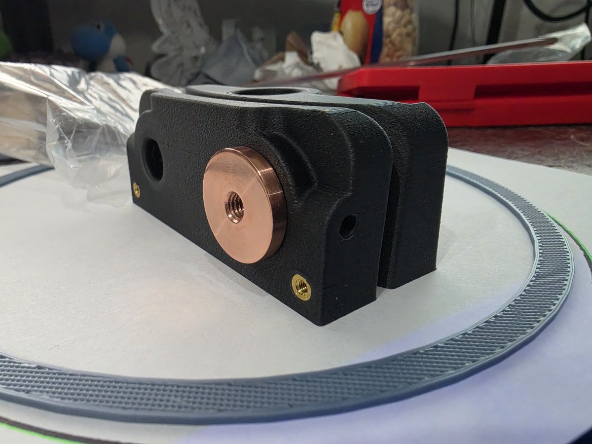 🌳 Ash Avali 🌲 tweet media