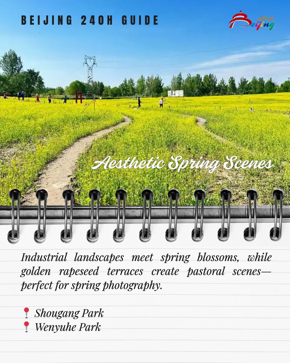 VisitBeijingcn's tweet photo. Spring is in full bloom in Beijing. The Spring Flower Map of Beijing’s Leisure Greenways highlights blossom spots across the city. With China’s 240-hour visa-free transit policy, international travelers can enjoy a spring journey where every step reveals another bloom. https://t.co/5znYs6yJWD