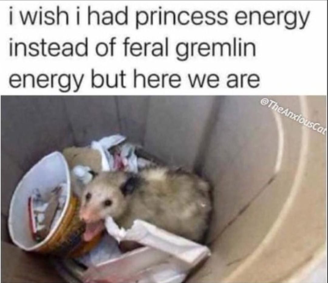 Snaggletooth Screamer tweet media