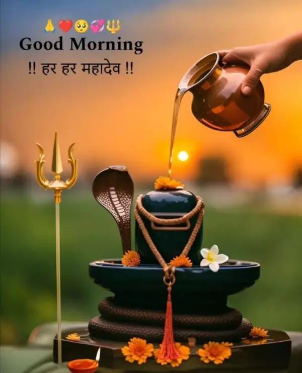 💚💝RAVI SHARMA❤️💙 tweet media