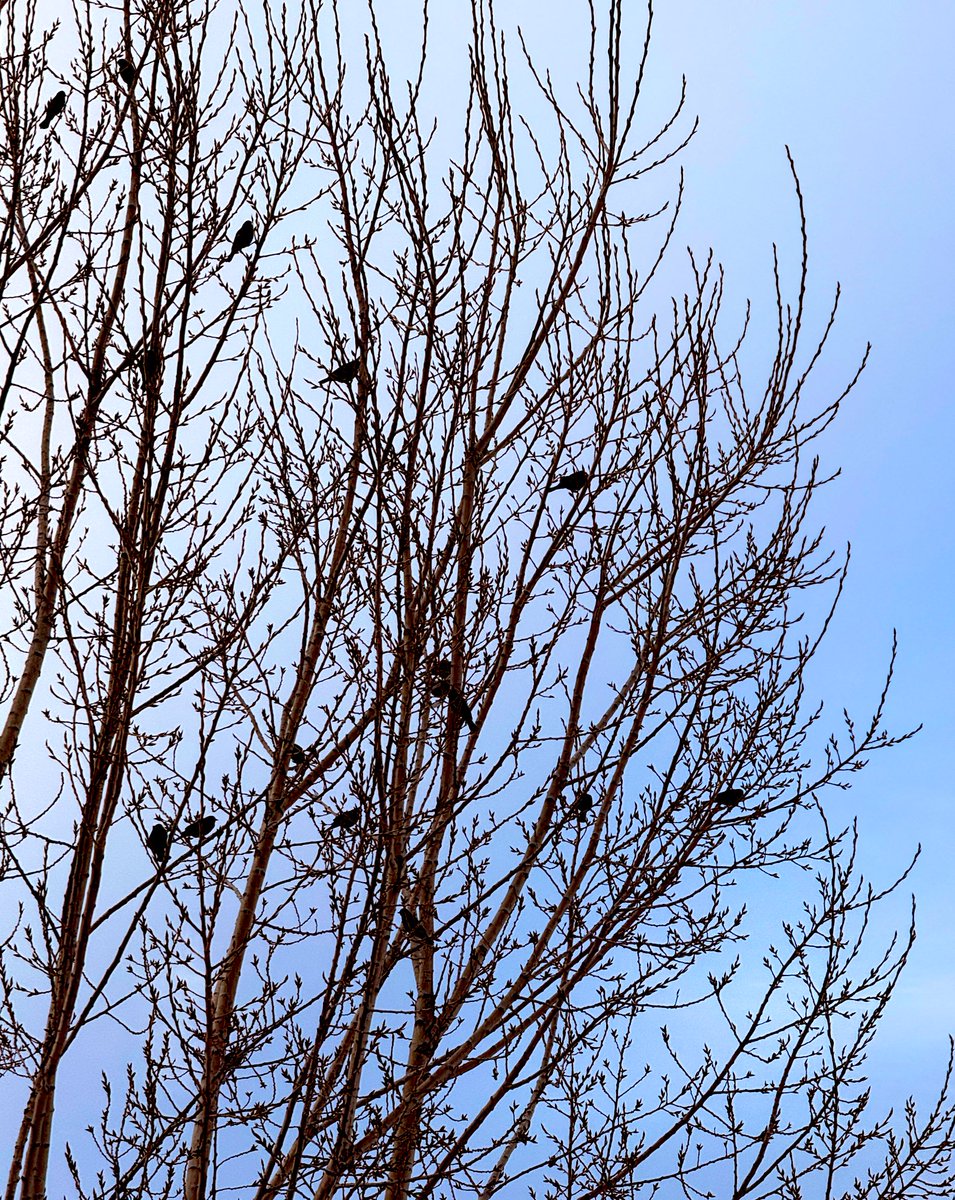 Sandra Payne tweet media