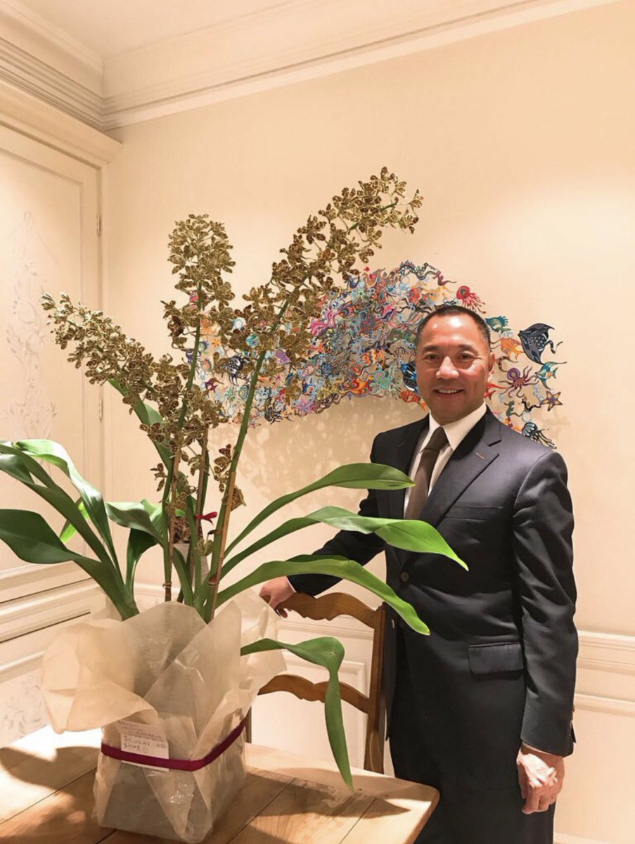 千山暮雪 tweet media