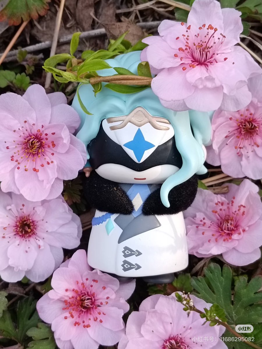 Daily Babyttore 🧪 tweet media