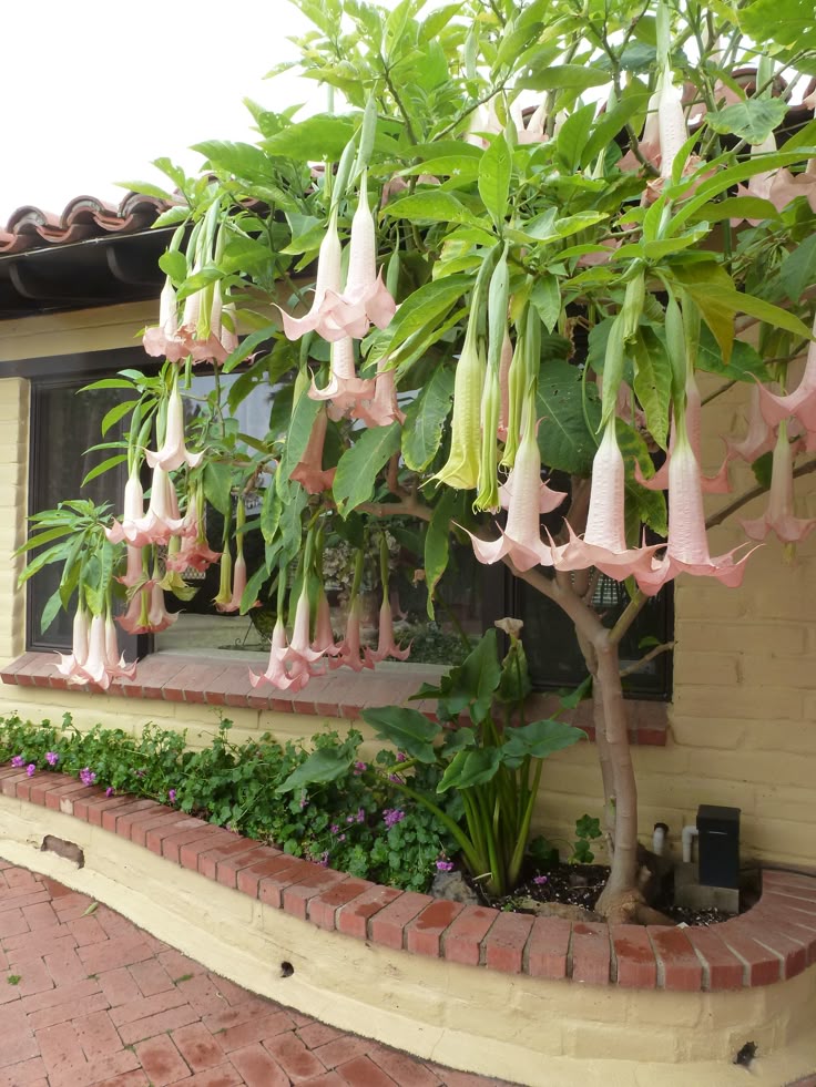 c:3l ꩜ tweet media