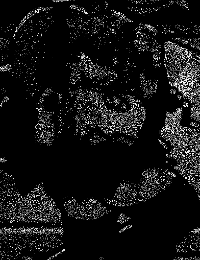 ItzNillø™🌹 tweet media