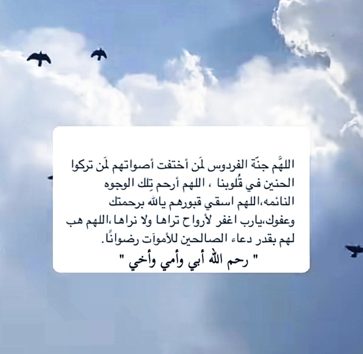 ♥ملكة《SARONH》الليل♥ tweet media