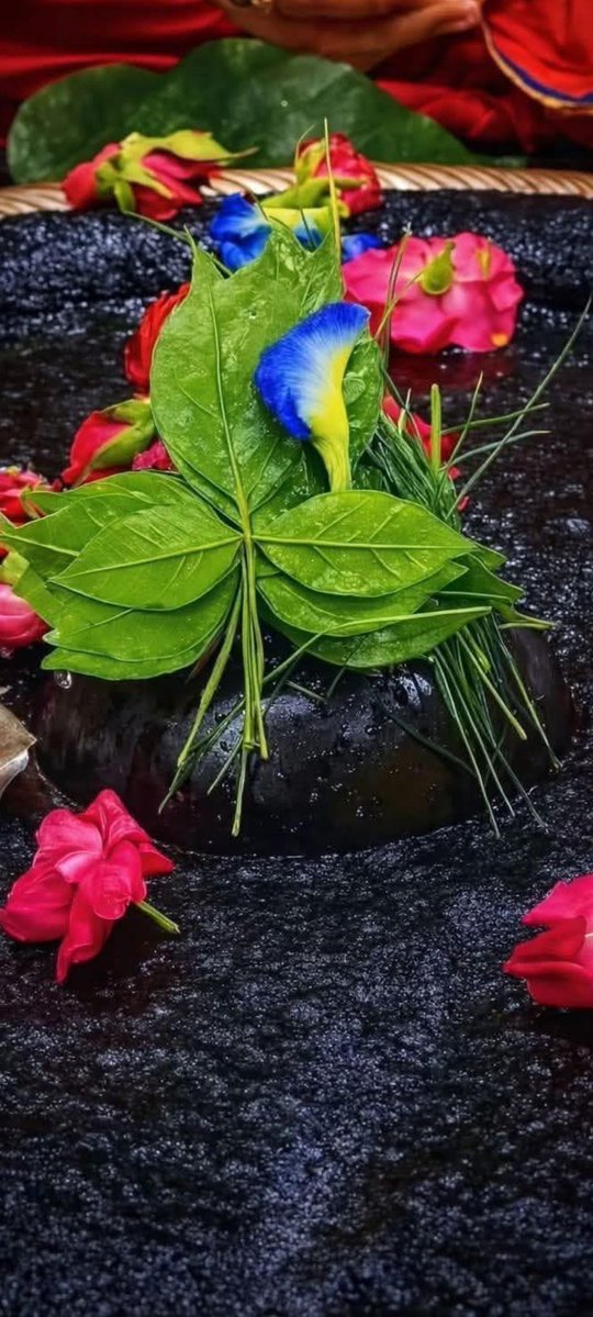 <a href="/Rajpalbhaker33/">Rajpal Bhakar</a> <a href="/5Vikastiwari/">विकास तिवारी पत्रकार</a> <a href="/789solanki1/">DR & ER.PRAKASH,CE #INCराधा का कान्हा”</a> <a href="/AmitManoj5/">AMIT 🎬</a> <a href="/Bhagcha42837114/">भागचंद चौधरी(Bunty)</a> <a href="/brijesh81kr/">Brijesh Kumar (राष्ट्रवादी)</a> <a href="/DileepSYadav6/">Dileep Yadav</a> <a href="/DRajput70111/">divan rajput 🚩🙏जय श्री राम 🚩🙏 हिंदू</a> <a href="/NARENDRABHAKAR6/">NARENDRA BHAKAR</a> <a href="/raakeshgchopda/">Money talks w</a> <a href="/RealAlpana/">Alpana Sharma</a> <a href="/Rajendrabi13431/">Raju bishnoi</a> <a href="/ROSHAN63368/">ROSHAN MARMAT</a> <a href="/SureshJat1899/">Suresh Gila Binjari 🔰RLP 🇮🇳</a> <a href="/RajolaHarsh/">Harsh Choudhary</a> द्वादश ज्योतिर्लिंगों में से एक लिंग बाबा बैद्यनाथ हम सबों की रक्षा करें।
 हर हर महादेव 🥰🙏