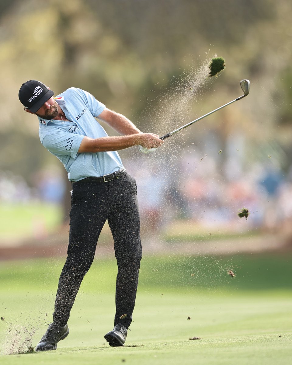 Vokey Wedges tweet media