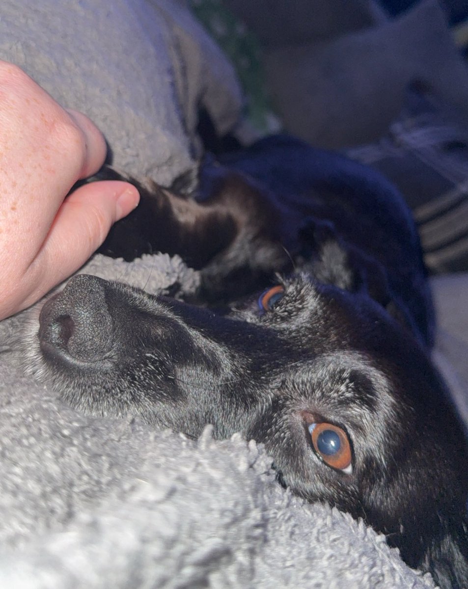 MissHappyCrayon ✨ tweet media