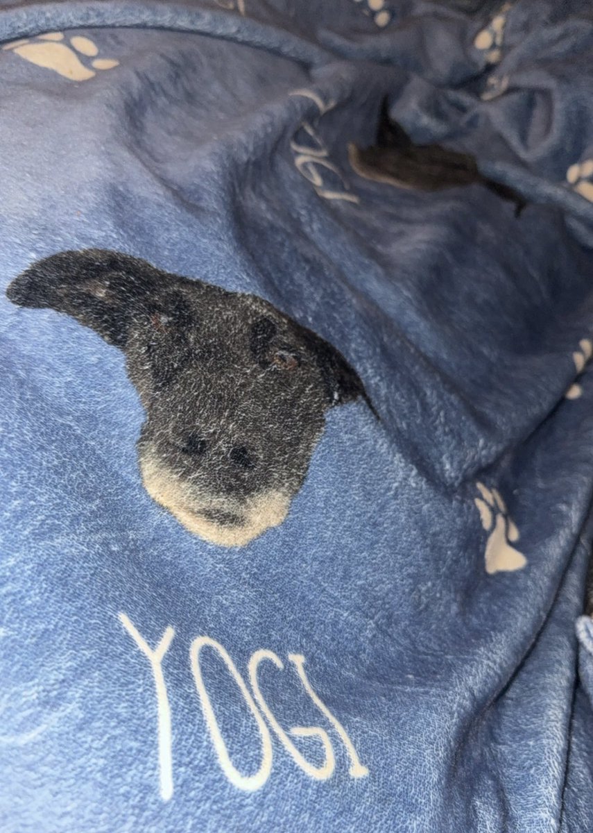 MissHappyCrayon ✨ tweet media