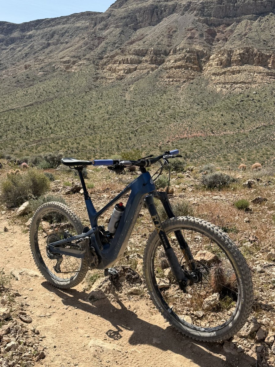 Steve Matthes tweet media