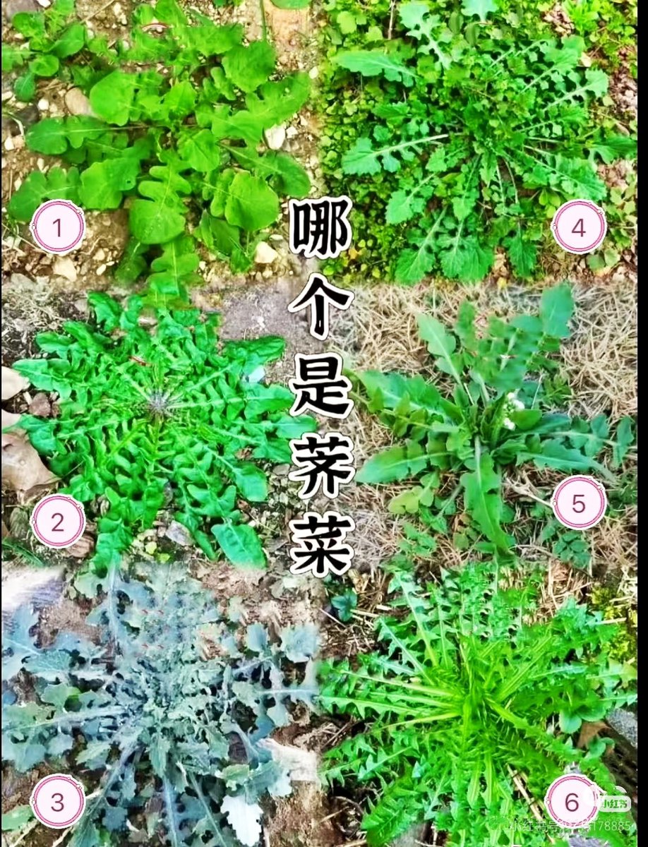 Nika(互fo💯互赞💯互评💯) tweet media