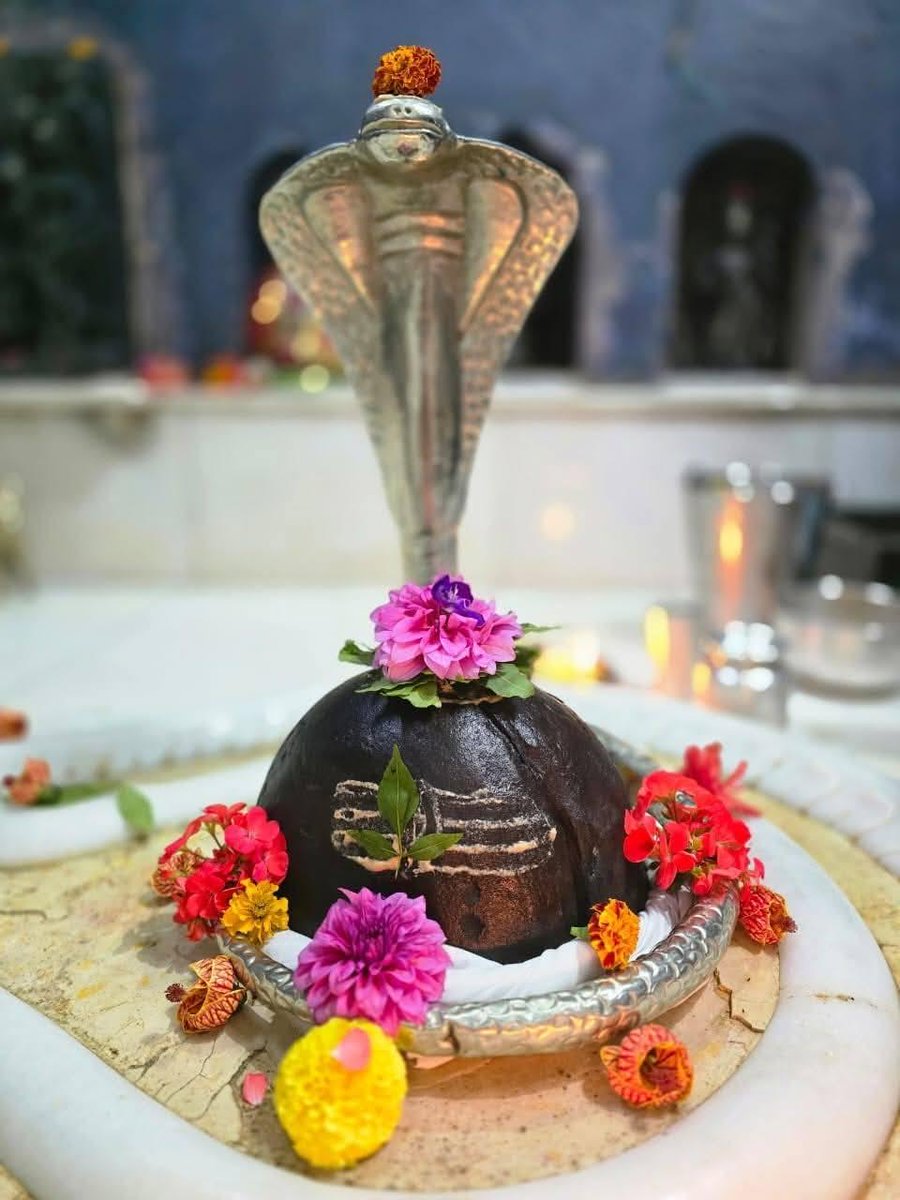 ᴋᴀᴛʏᴀʏᴀɴɪ tweet media