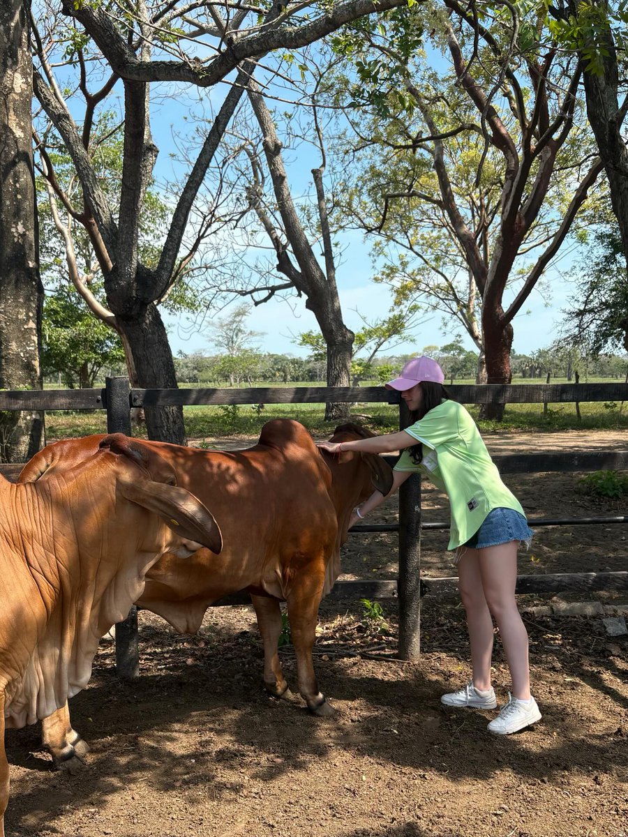 MissMexicoou's tweet photo. Blessed, grounded, and grateful to God. 🦋🌳🐮🍃🐞

@bosch_fatima ✨

#MissUniverse #MissUniverso #FatimaBosch #Tabasco #Teapa #Oscar https://t.co/d6sbLhiReq