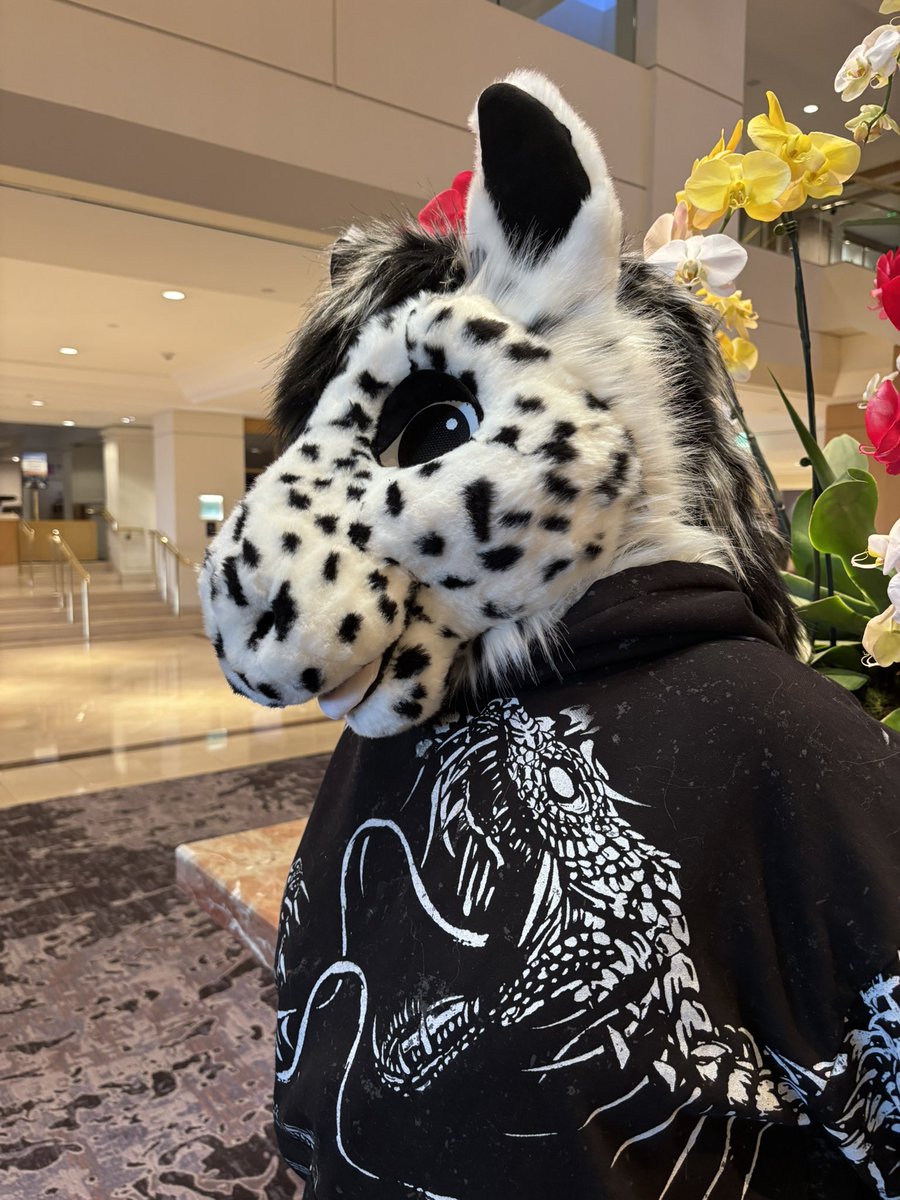 Yappy Ki Yay! tweet media