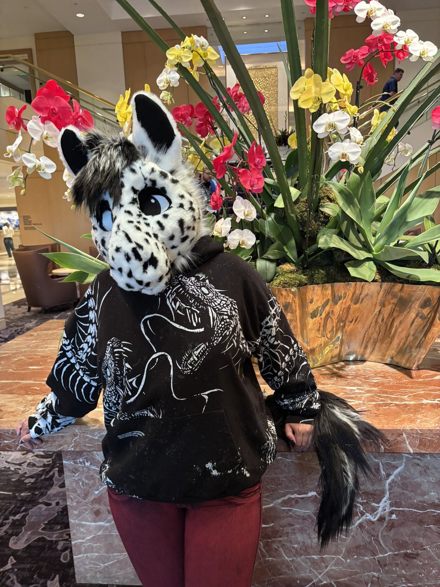 Yappy Ki Yay! tweet media