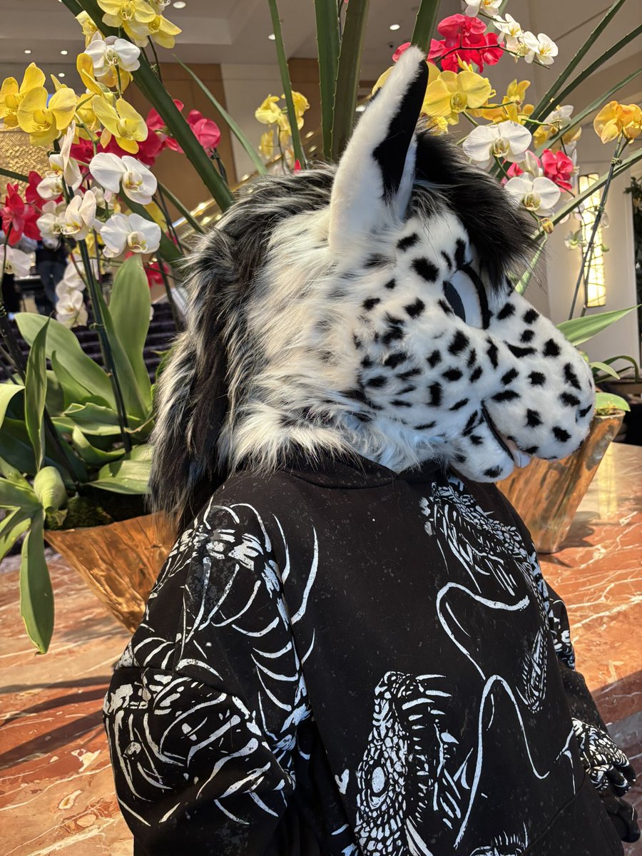 Yappy Ki Yay! tweet media