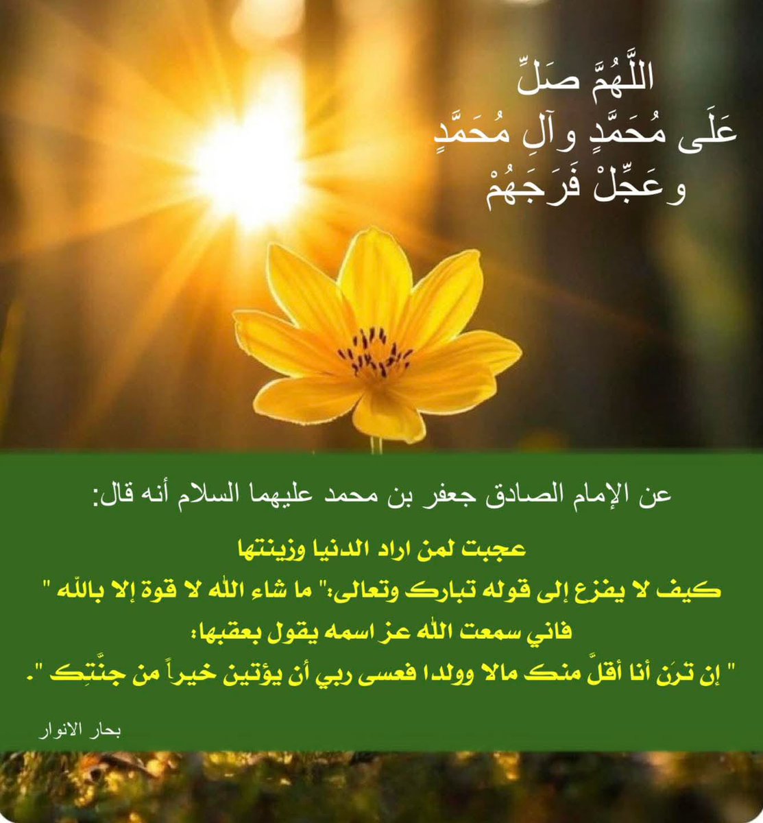 بَقِيَّةُ اللّهِ خَيْرٌ لَّكُمْ إِن كُنتُم مؤمنين tweet media