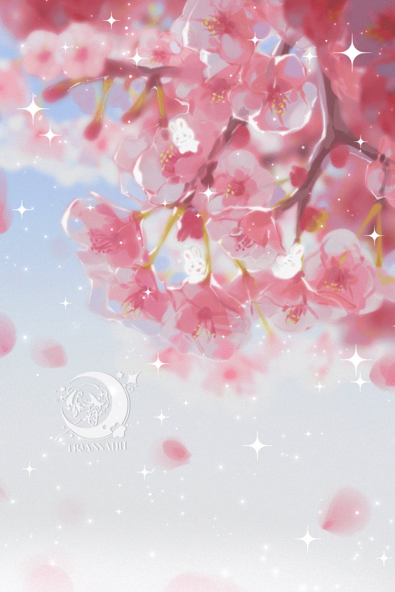 TRAN @ 🦋 tweet media