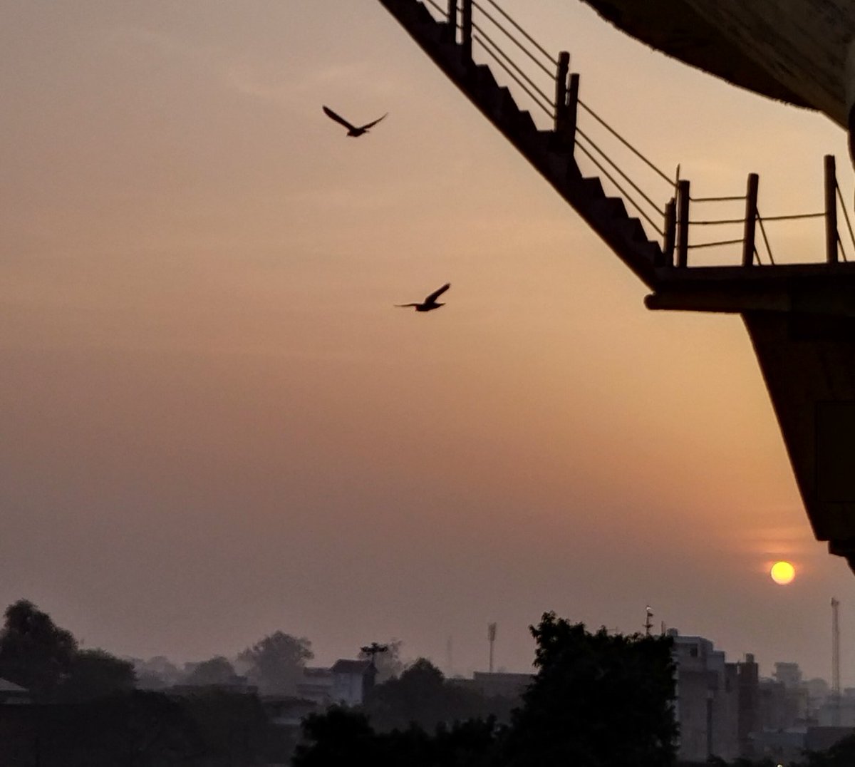 DrAlkaRay2's tweet image. While the world is at war,we celebrate the Indian Democracy 
#ElectionTime 
Have a wonderful week ahead 
#इलेक्शन_का_पर्व_हमारा_गर्व 
आपका दिन मंगलमय हो। हर हर महादेव 
Day 1257 of being homeless and battling on.....
#JusticeforAlkaRay 
#theme_pic_India_Sunrise