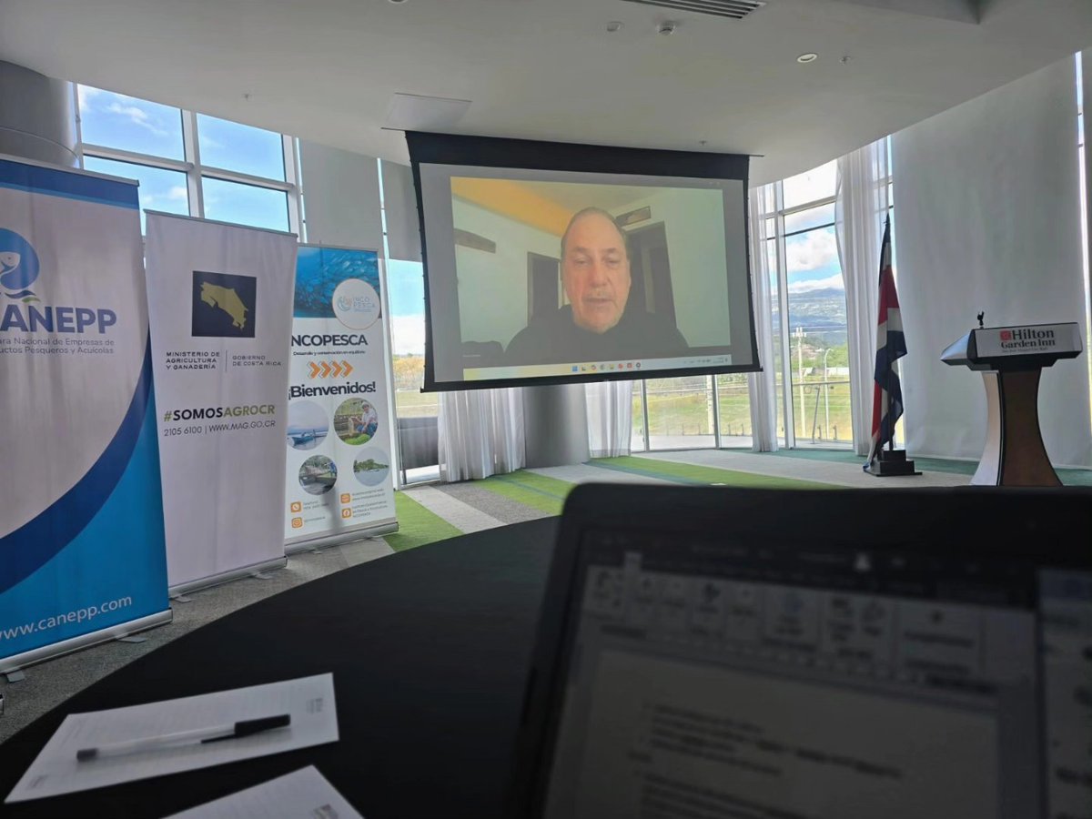 CeDePesca tweet media