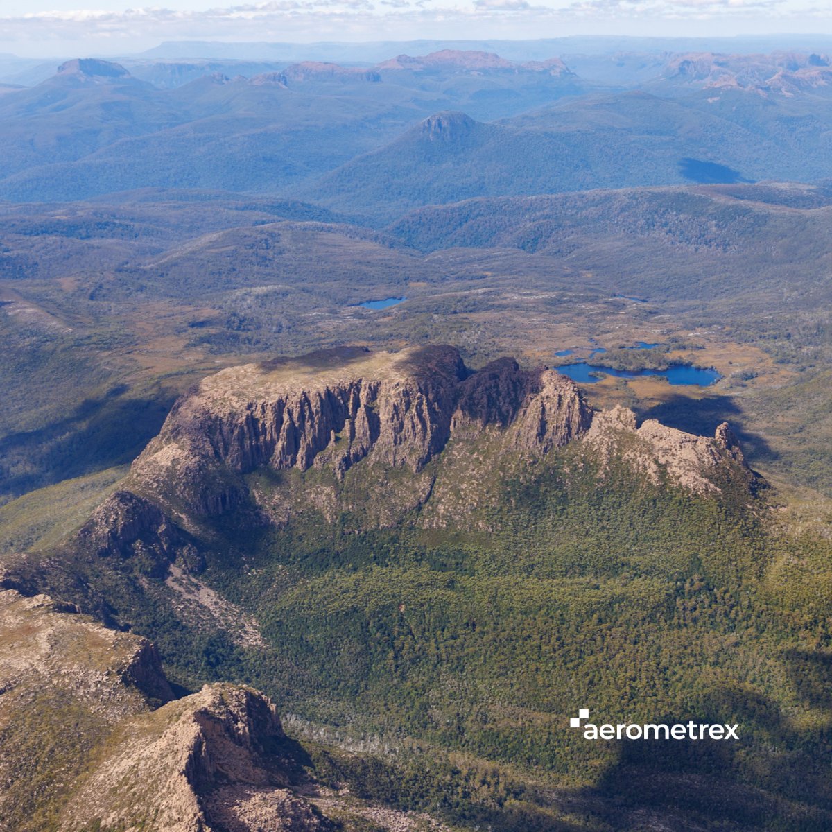 Aerometrex tweet media