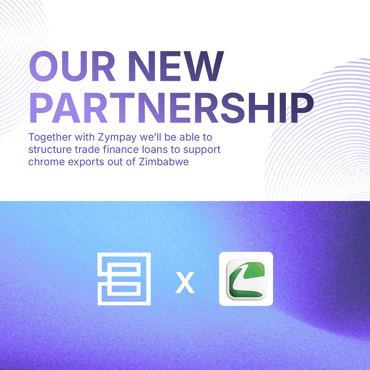 BNPL Pay tweet media