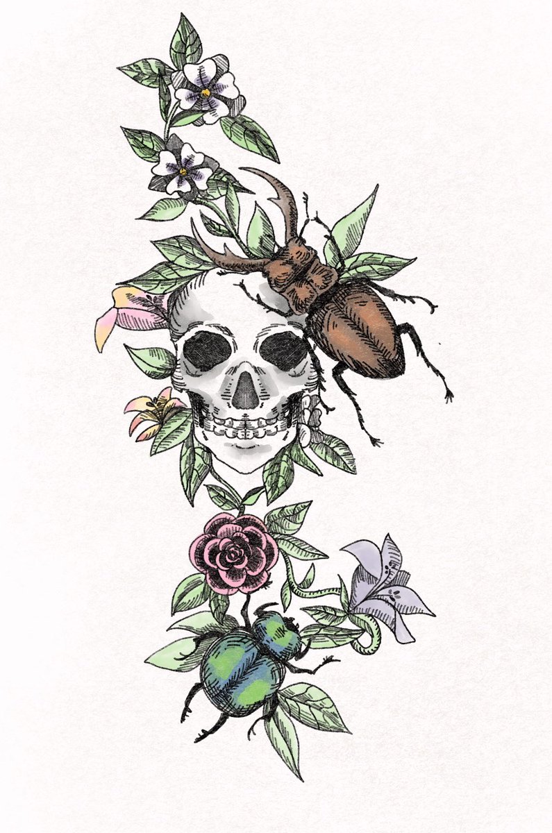 🌱🌿 tweet media