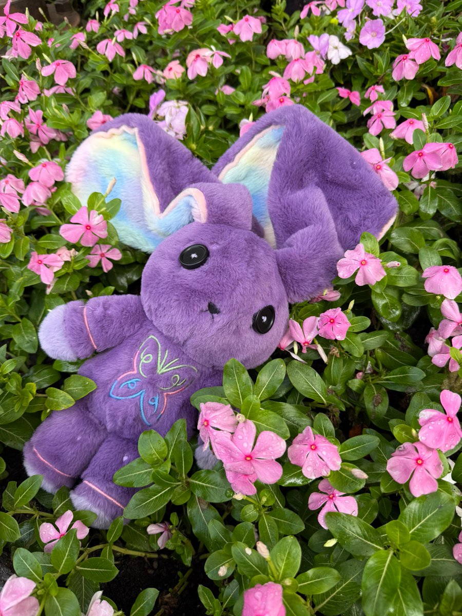 PlushieDreadful's tweet photo. Fibromyalgia Rabbit 💜🩷

Life with fibromyalgia can feel unpredictable, but a little comfort is always within reach. This bestie has returned to bring gentle support through the hard days.

Available on the Plushie Dreadfuls store ⭐️ https://t.co/S0ahy7ulUL