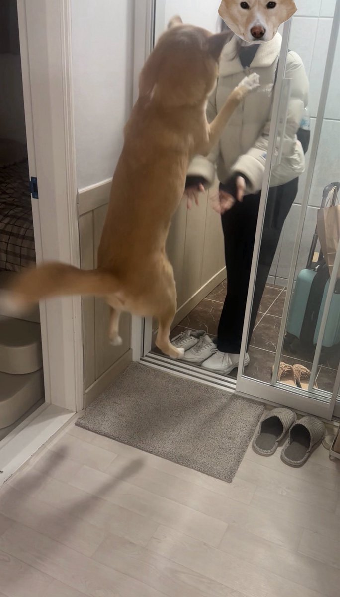 고작 하루 못 봤다고 이만큼 떠올랐어