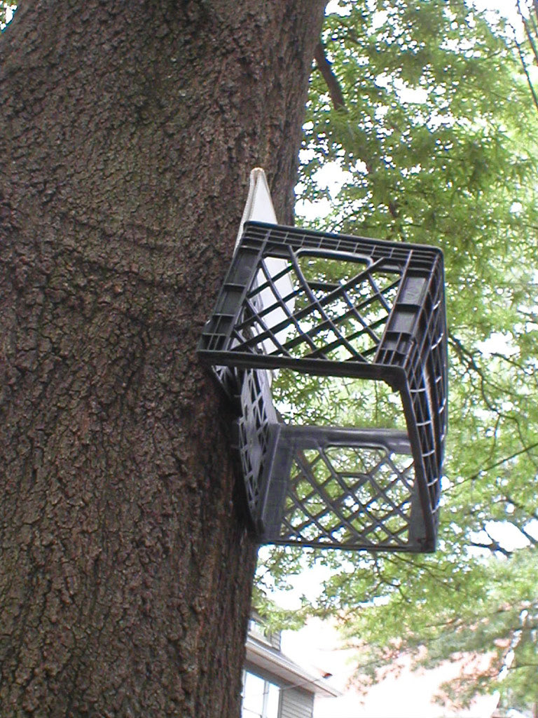 RareFootage tweet media