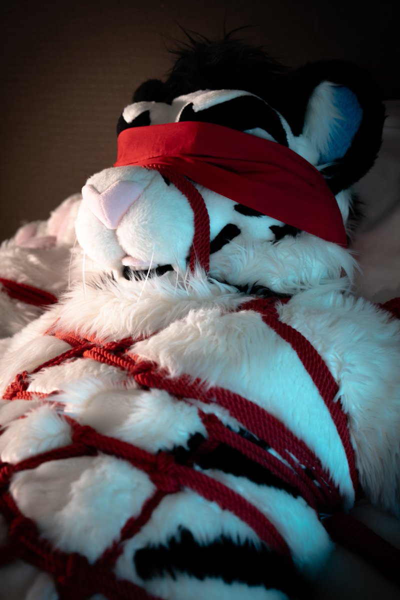 白虎 BaiHu tweet media