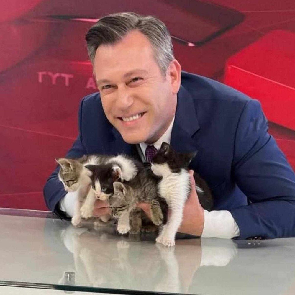 Dailymeow tweet media