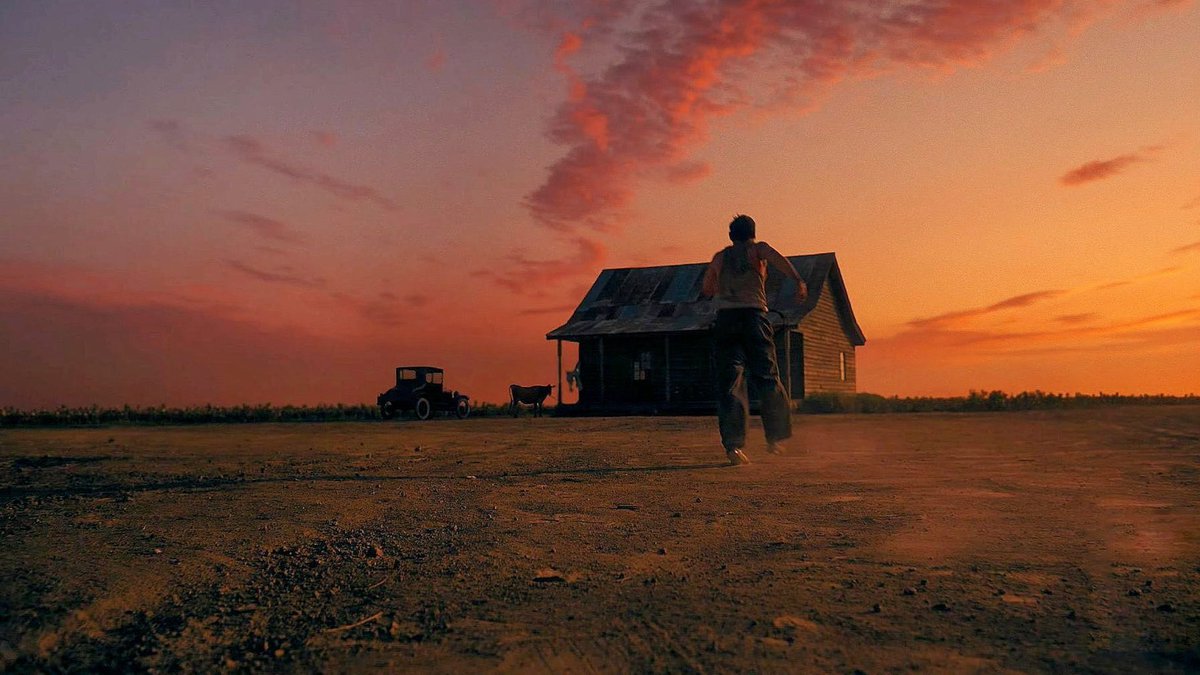 Nora Dominick tweet media