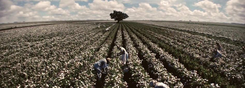 Africanize tweet media