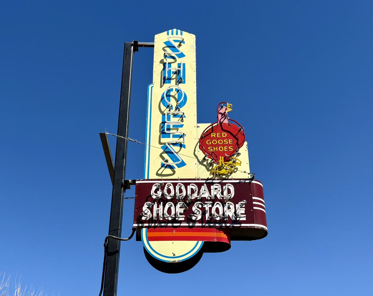 Chicken Joe 🐔 tweet media