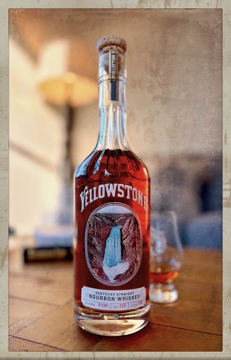 Rare Bird 101 🦃 tweet media