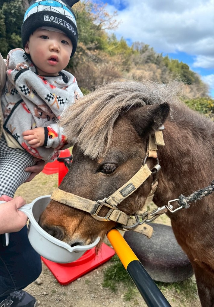 モックル（河内長野市公式） tweet media