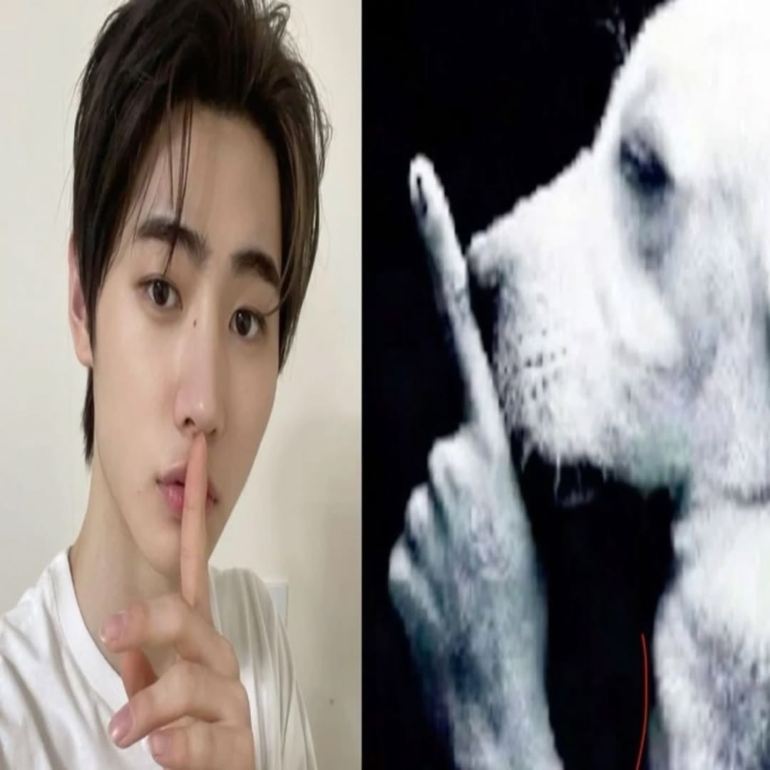 valnunxs's tweet photo. Ustedes tienen un pasado oscuro???

El mío fue ser fan de aristemo/emiliaco

DO NOT EXPLOIT THE LEGACY OF ENHYPEN
#BEACCOUNTABLE_BELIFT 
#ENHYPEN_IS_SEVEN 
#HEESEUNG_STAYS 
#ENHYPEN_IS_7 https://t.co/gToL3cHkqC