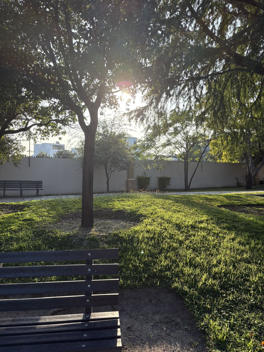 Ichikawa Kyo tweet media