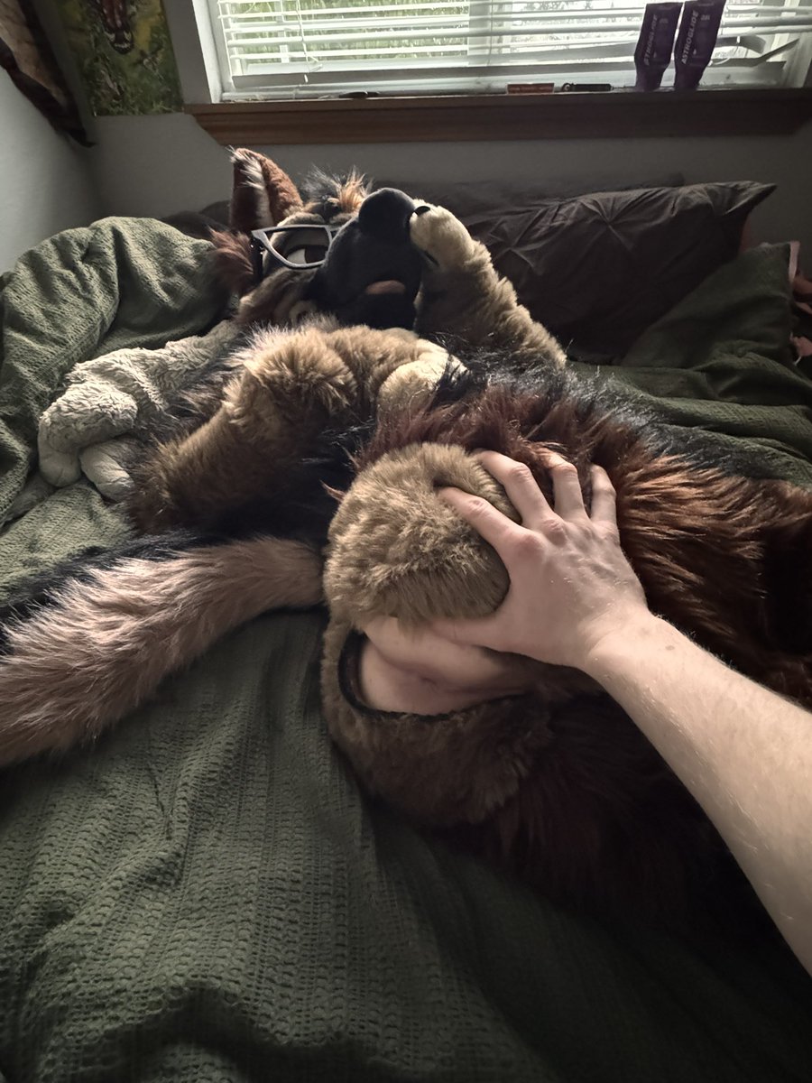 sheps need to be tamed ⛓️‍💥