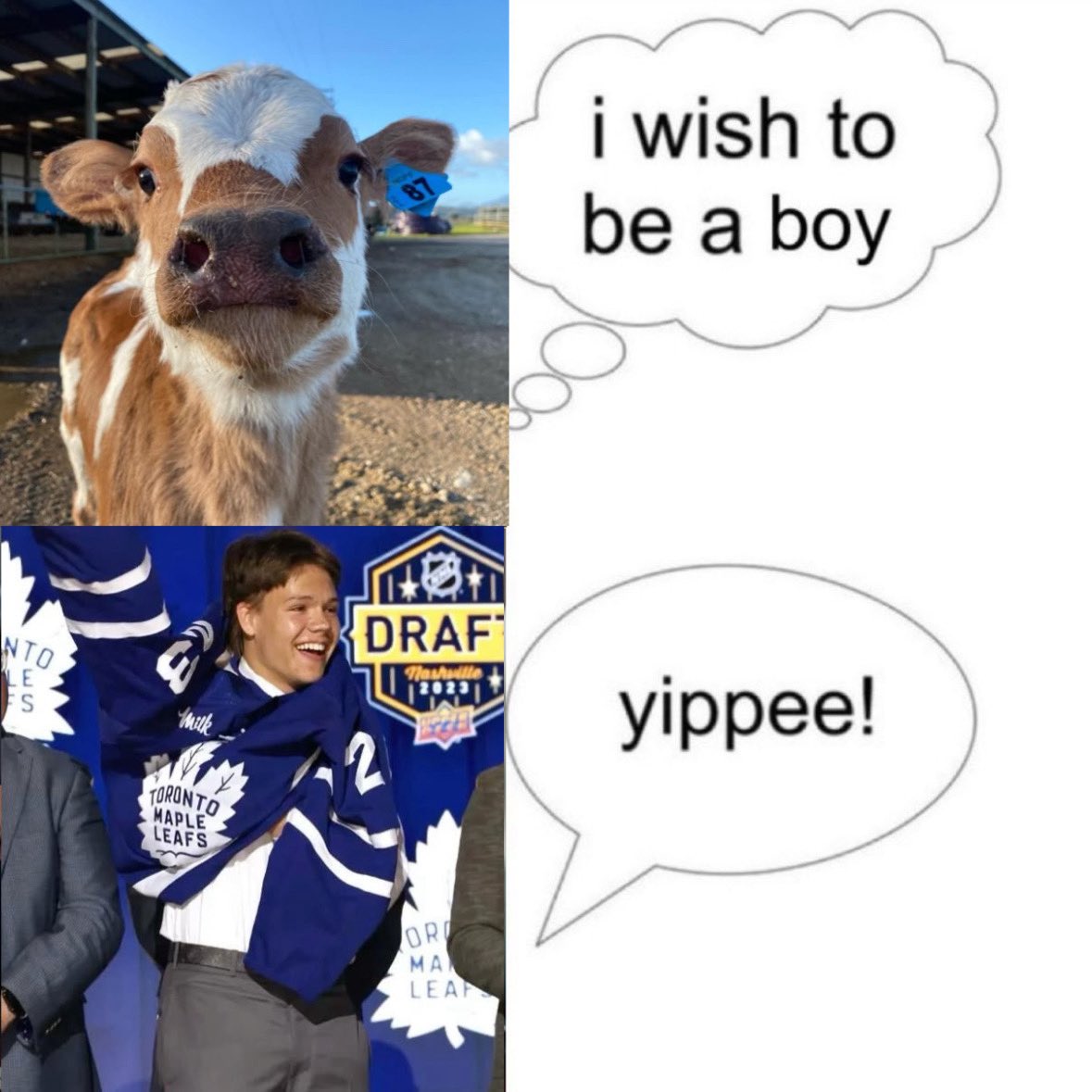 wollander81's tweet photo. easton cow(an) https://t.co/04DMuS1Wwk