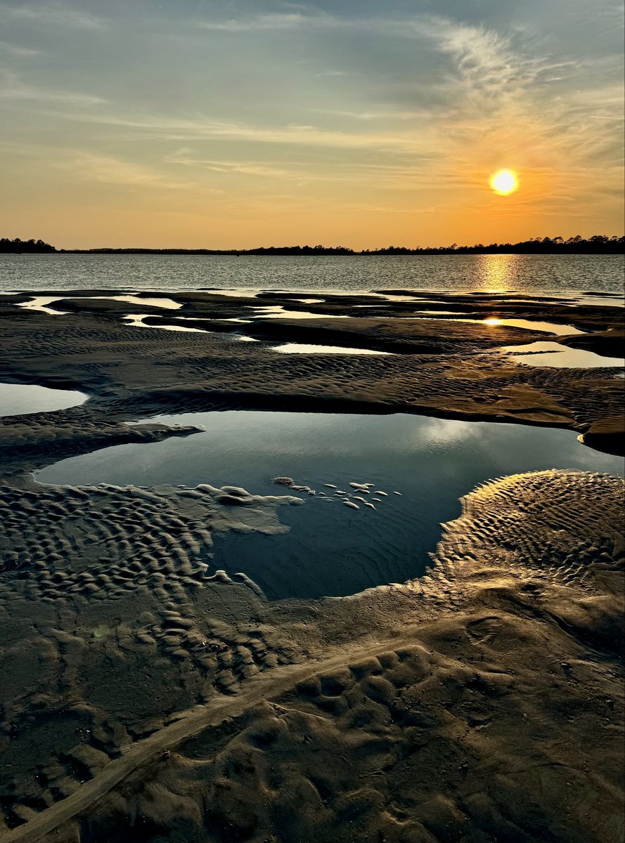 DMiller52325459's tweet photo. Reset your X feed:  
The algorithm watches dwell time —  
how long you pause, read, or stare.  

That pause tells it: "Show more of this."  
(No like needed.)  

Drop an eye-popping image below  
to create pause &amp; retrain the algo! 🌅👀 https://t.co/W2QuIByu2k