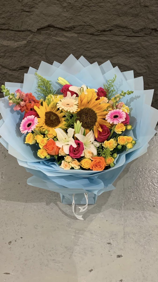 ʀᴏᴀᴀ tweet media