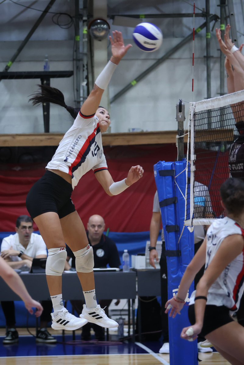 CASLA Voley tweet media